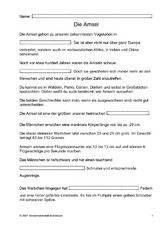 Amsel-Lückentext.pdf